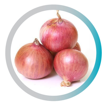 Onion